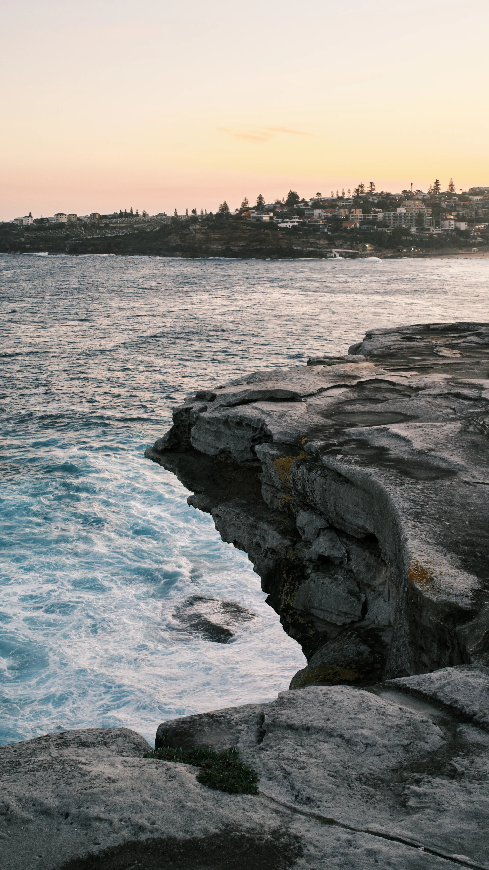 Bondi Coastal Walk